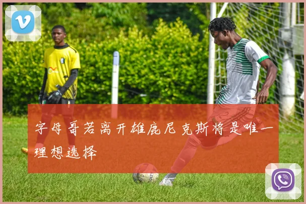 字母哥若离开雄鹿尼克斯将是唯一理想选择