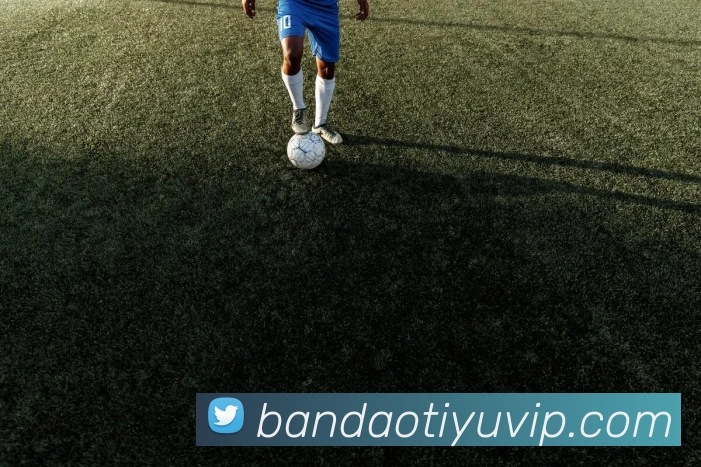 半岛体育APP 封面图