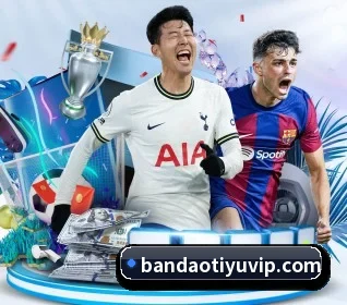 半岛体育 APP - bandao