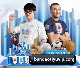 半岛体育 APP（bandao）